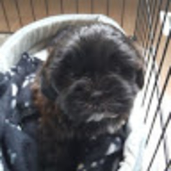 Meet your Posher, Taylah - Picture 1 of 1